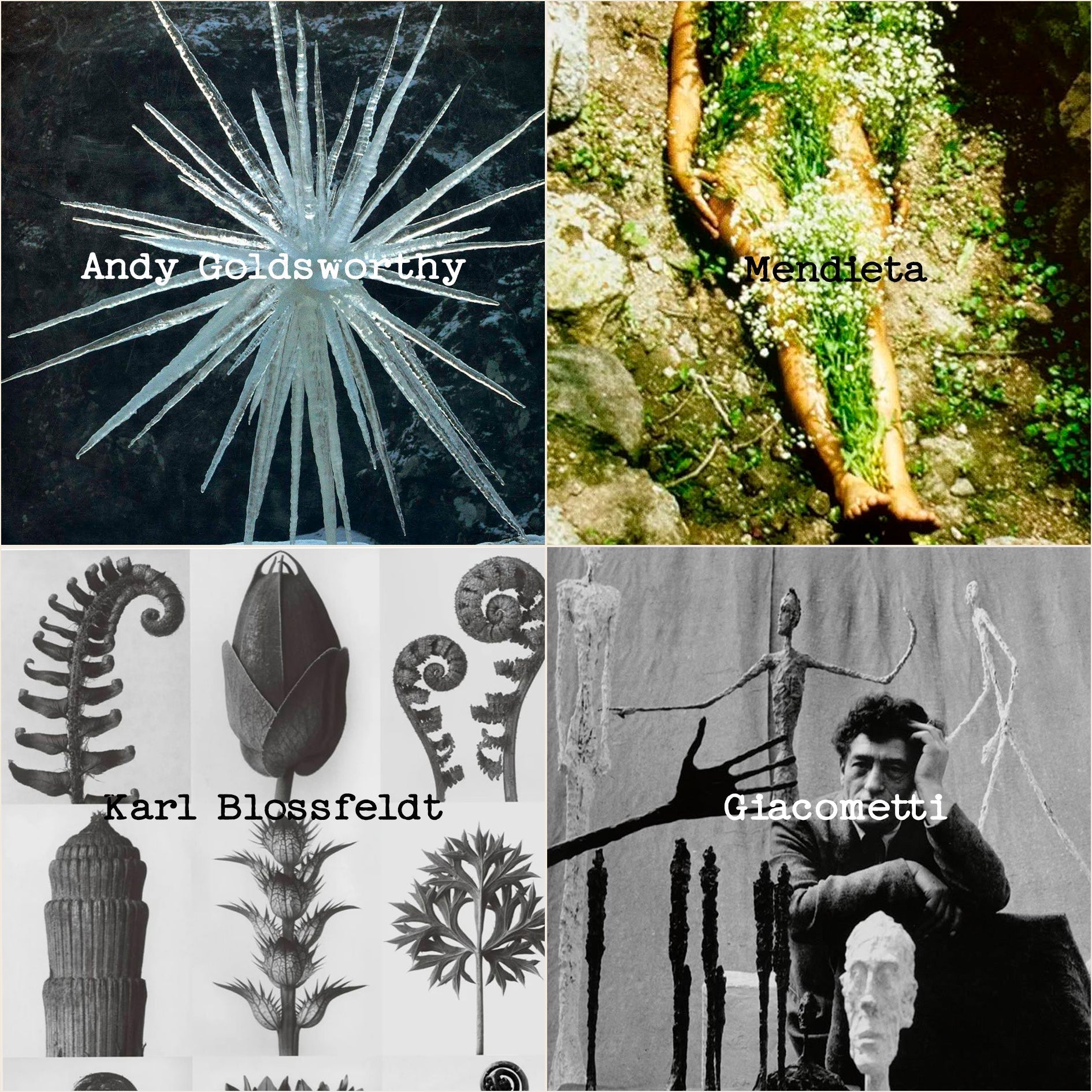 ¿Cómo se crea una colección? Inspiración y errores de El Jardín.