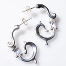 Belladonna radiculata