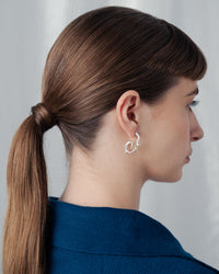 Belladonna radiculata