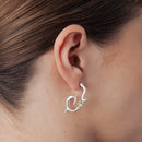 Belladonna radiculata